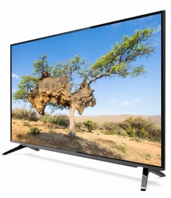 Google TV DLED Quantum Dot Film i wsparcie Vesa Mount